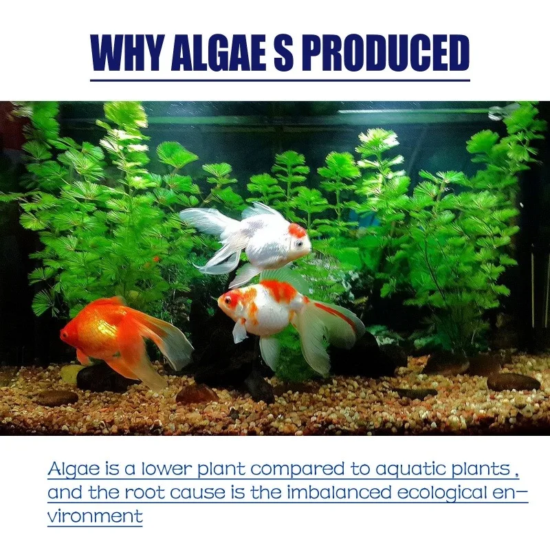 50g High Efficiency Algaecide  - Aquarium Marine Plants reseña y precio
