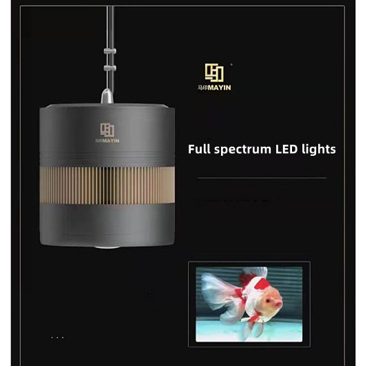 Light Emitting Diode 3D Hot Sa - Aquarium Marine Fish For Sale reseña y precio