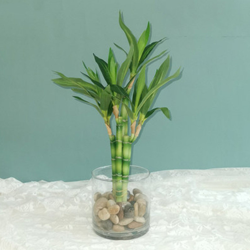 New 40cm rFtificial Lucky Bamb - Aquarium Marine Plants reseña y precio