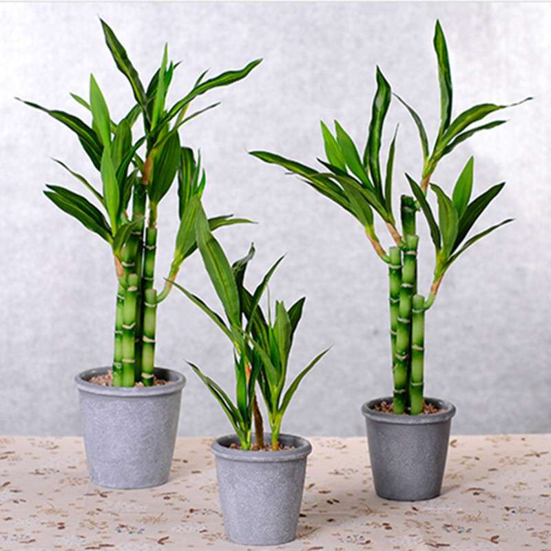 New 40cm rFtificial Lucky Bamb - Aquarium Marine Plants reseña y precio