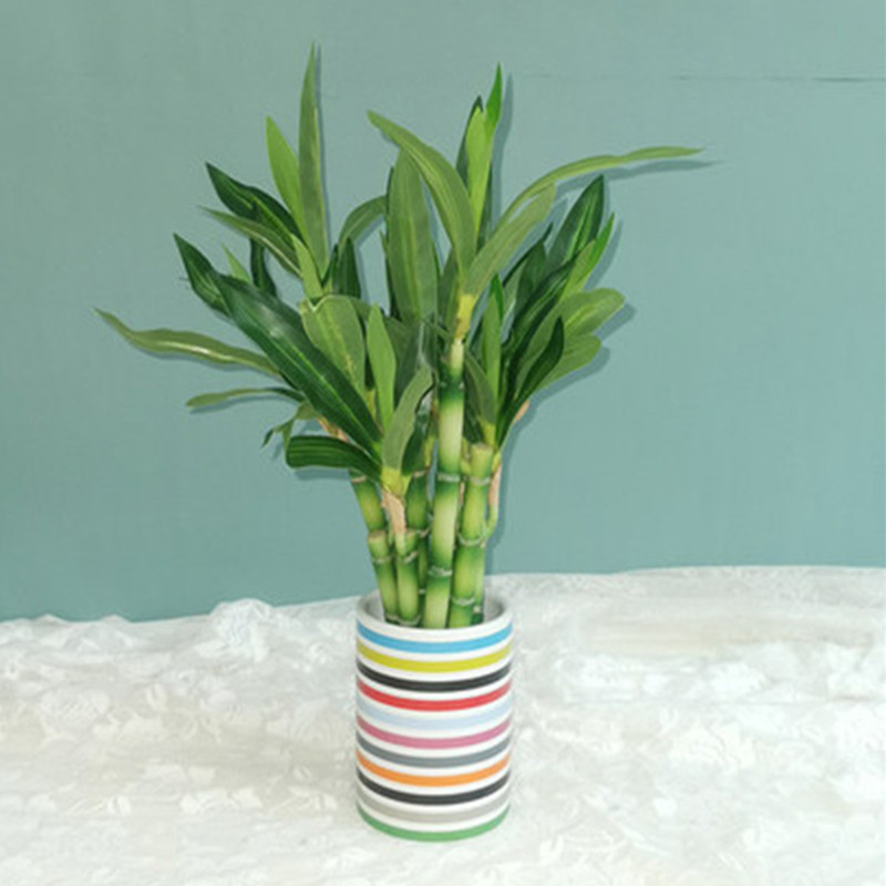New 40cm rFtificial Lucky Bamb - Aquarium Marine Plants reseña y precio