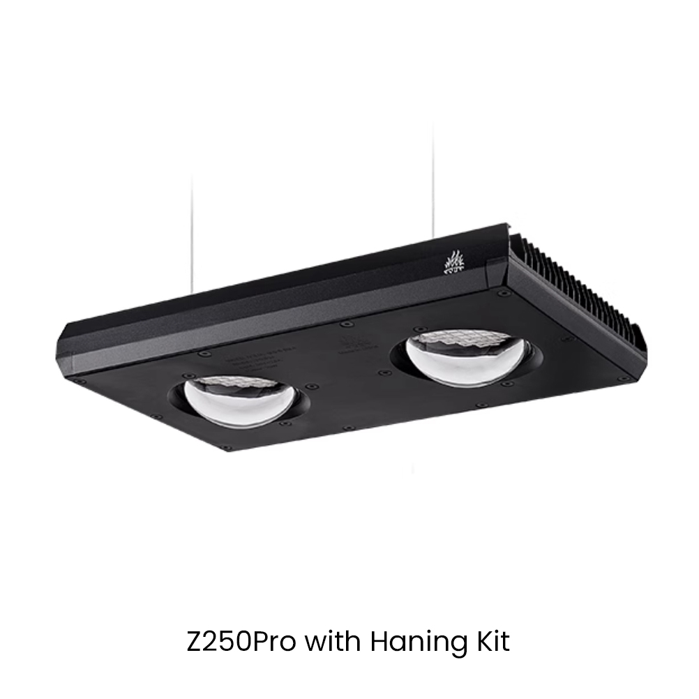 Week AQUA Z250/Z400 Sea LED Re - Aqua Marine Tank reseña y precio