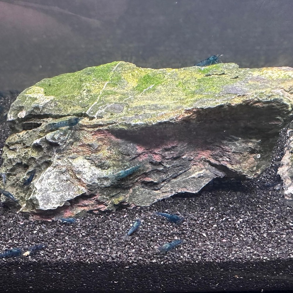 Black Aquarium Sand 2lbs, Fine - Aquarium Marine Plants reseña y precio