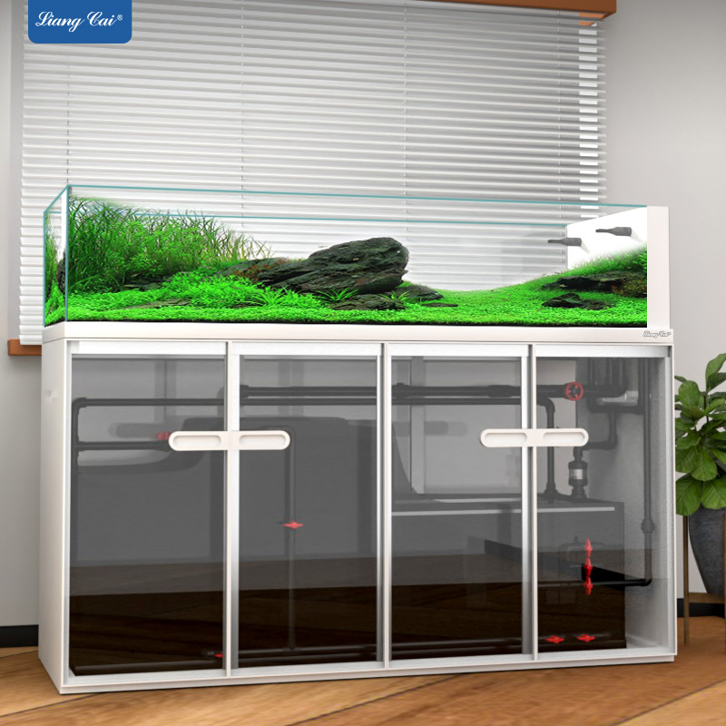 Large Modern Style Glass Fish  - Aquarium Marine Fish For Sale reseña y precio