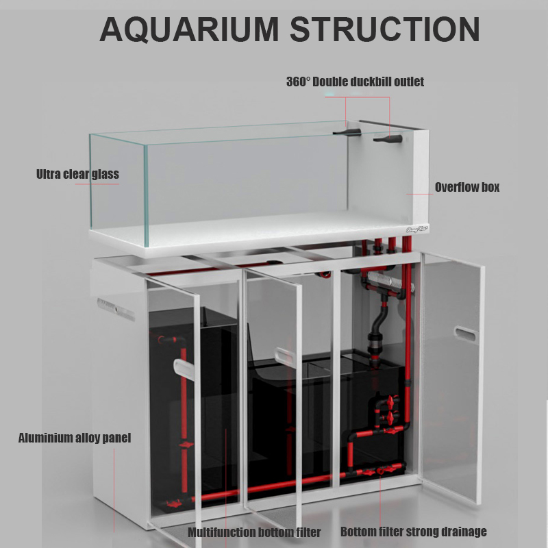 Large Modern Style Glass Fish  - Aquarium Marine Fish For Sale reseña y precio