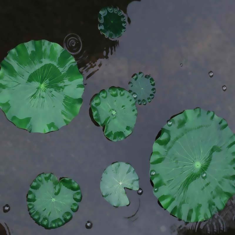 2026 Artificial Water Lily Lot - Aquarium Marine Plants reseña y precio