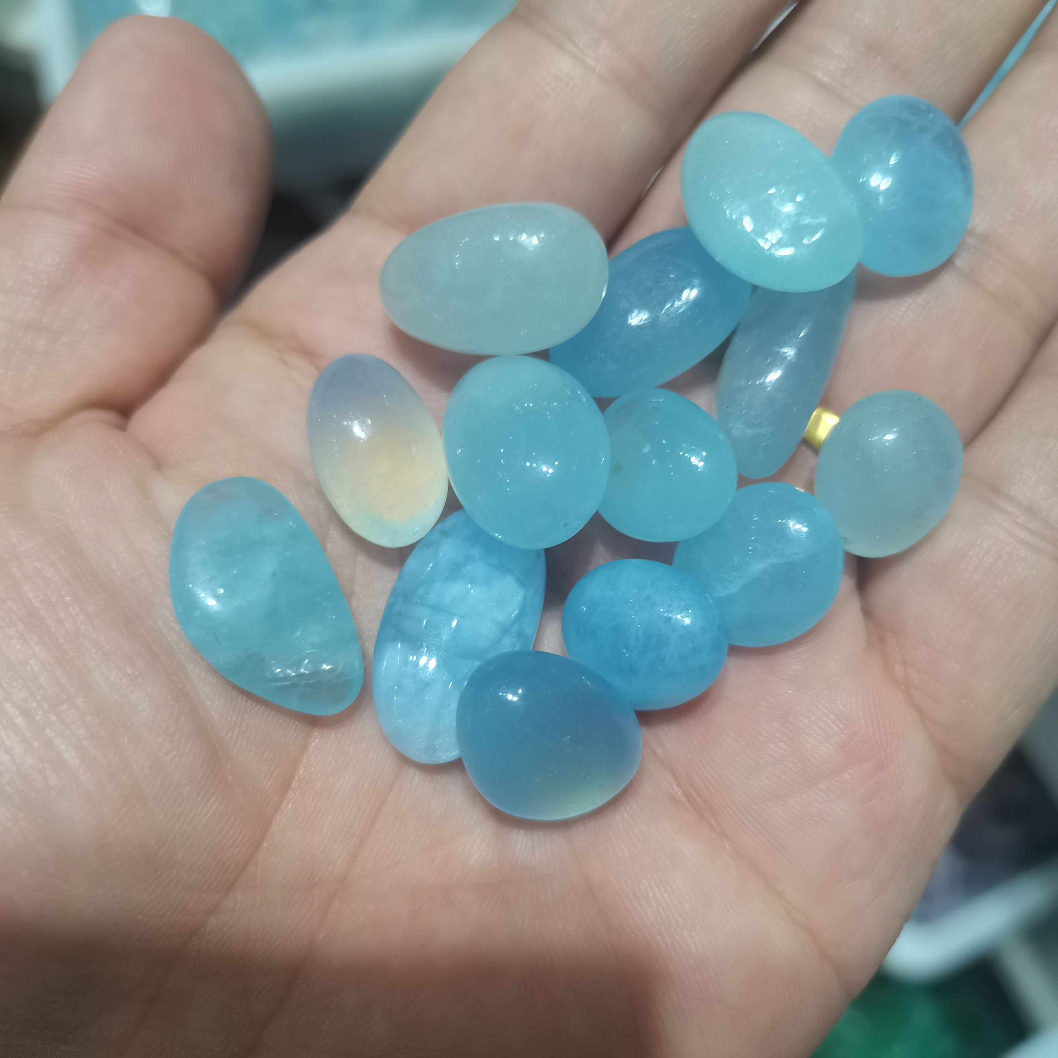 1000g Bulk Natural Blue Aquama - Aqua Marine Tank reseña y precio