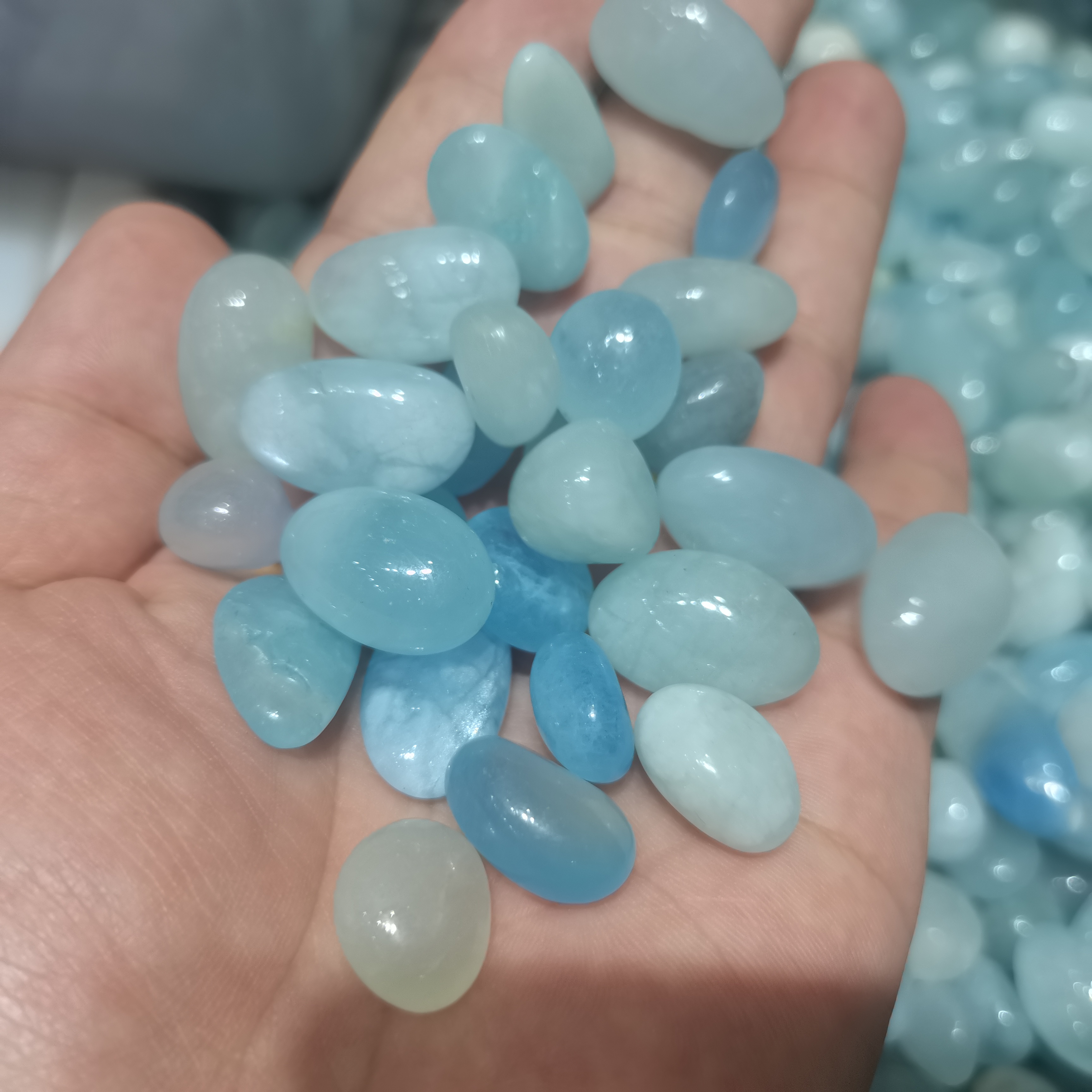 1000g Bulk Natural Blue Aquama - Aqua Marine Tank reseña y precio
