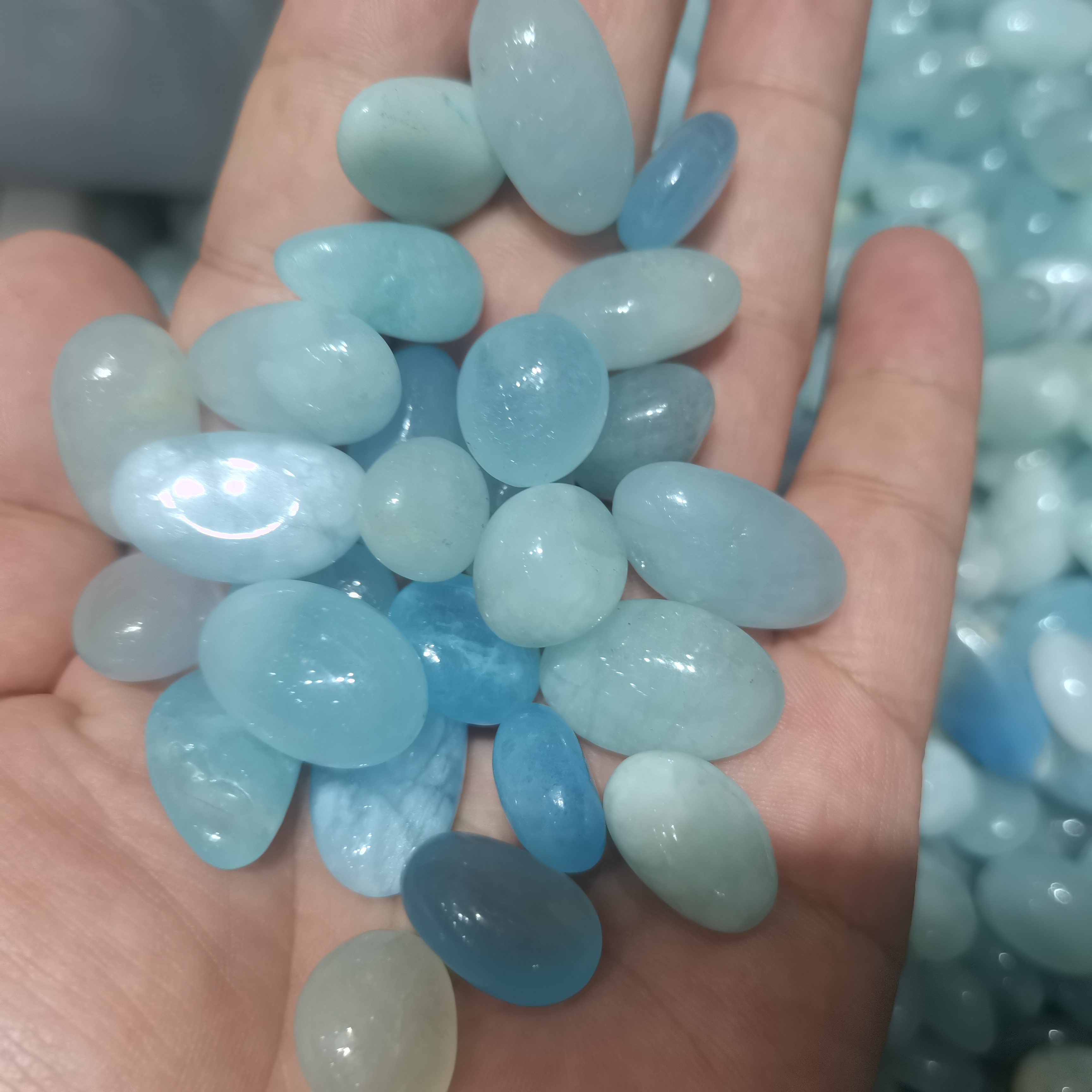 1000g Bulk Natural Blue Aquama - Aqua Marine Tank reseña y precio