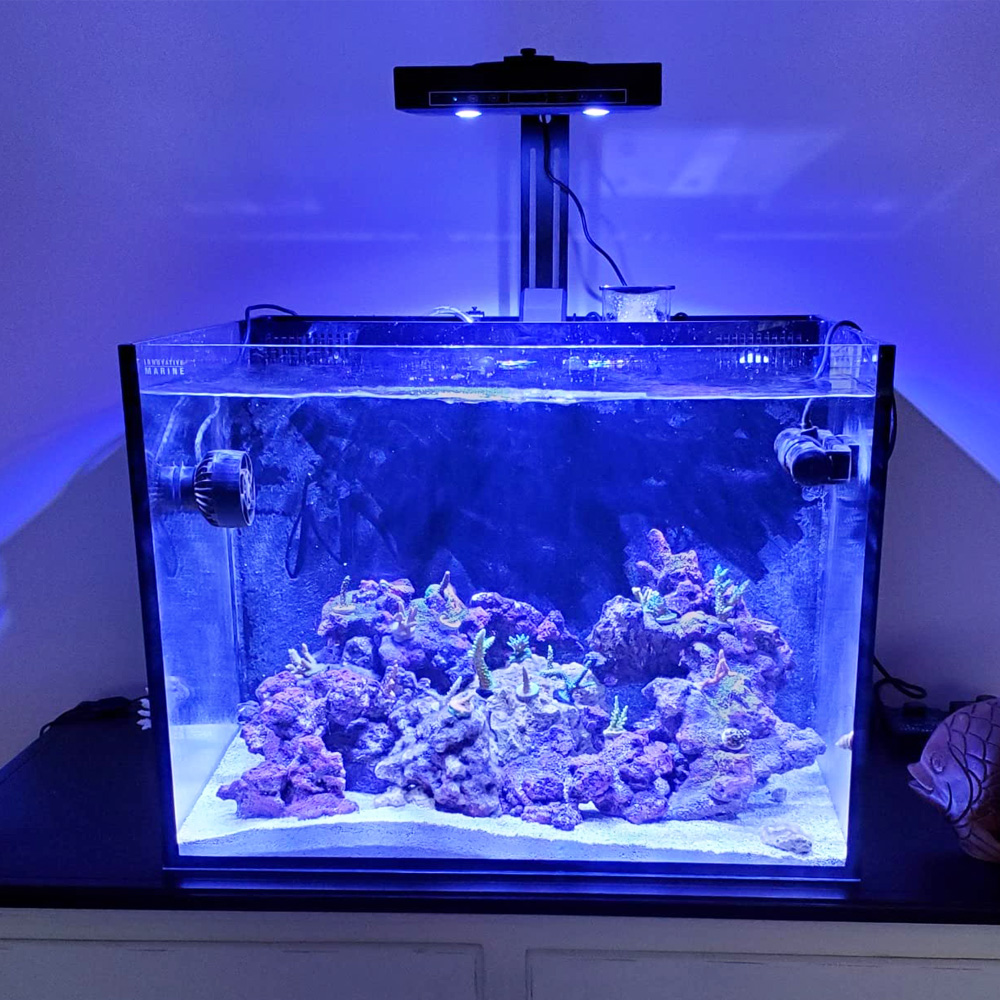 95W Multi-channel Control Syst - Aqua Marine Tank reseña y precio