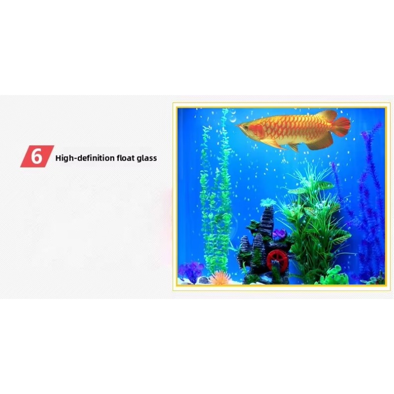 Marine Large 200 Gallon Fish A - Aquarium Marine Fish For Sale reseña y precio