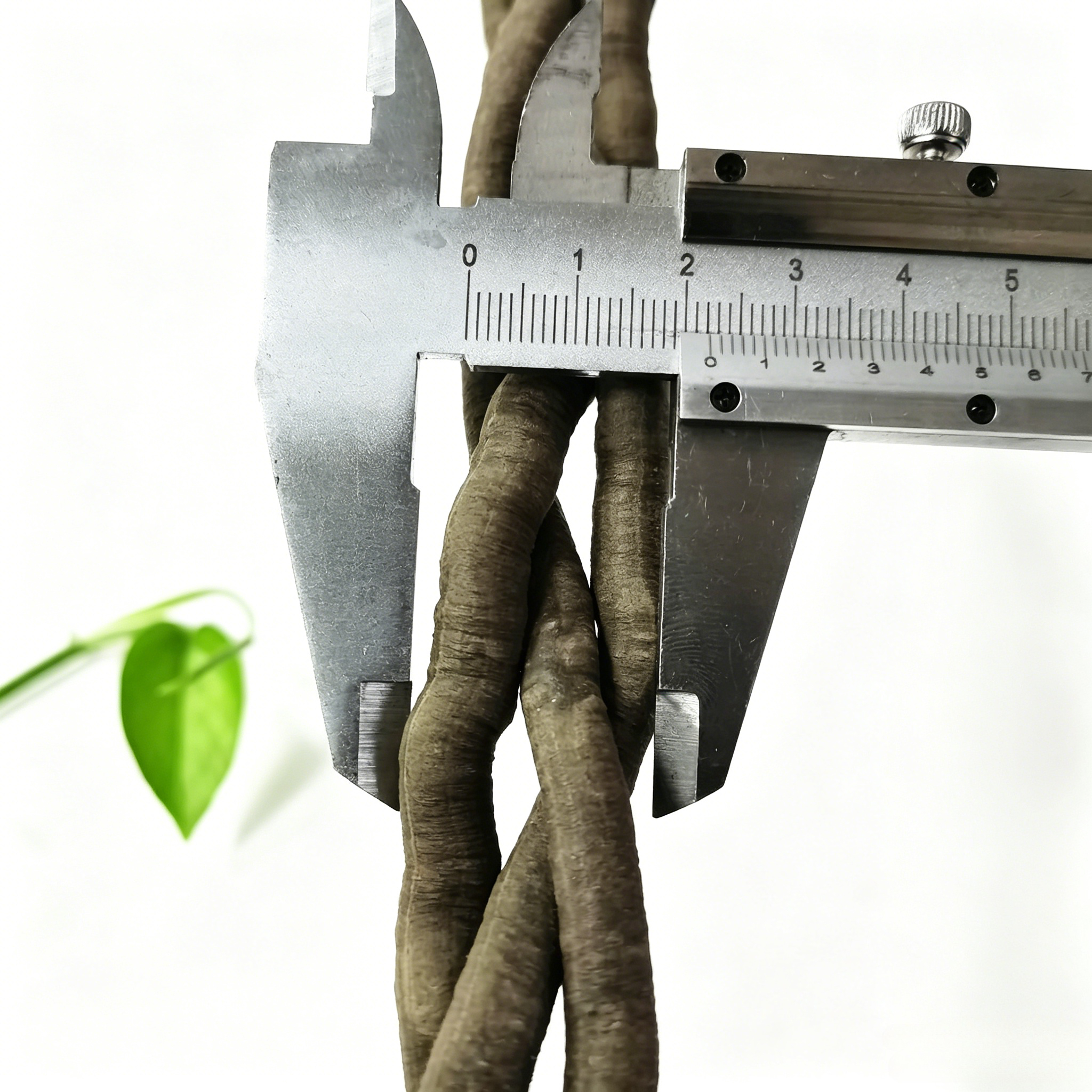 100cm Artificial Vine Fake Pla - Aquarium Marine Plants reseña y precio