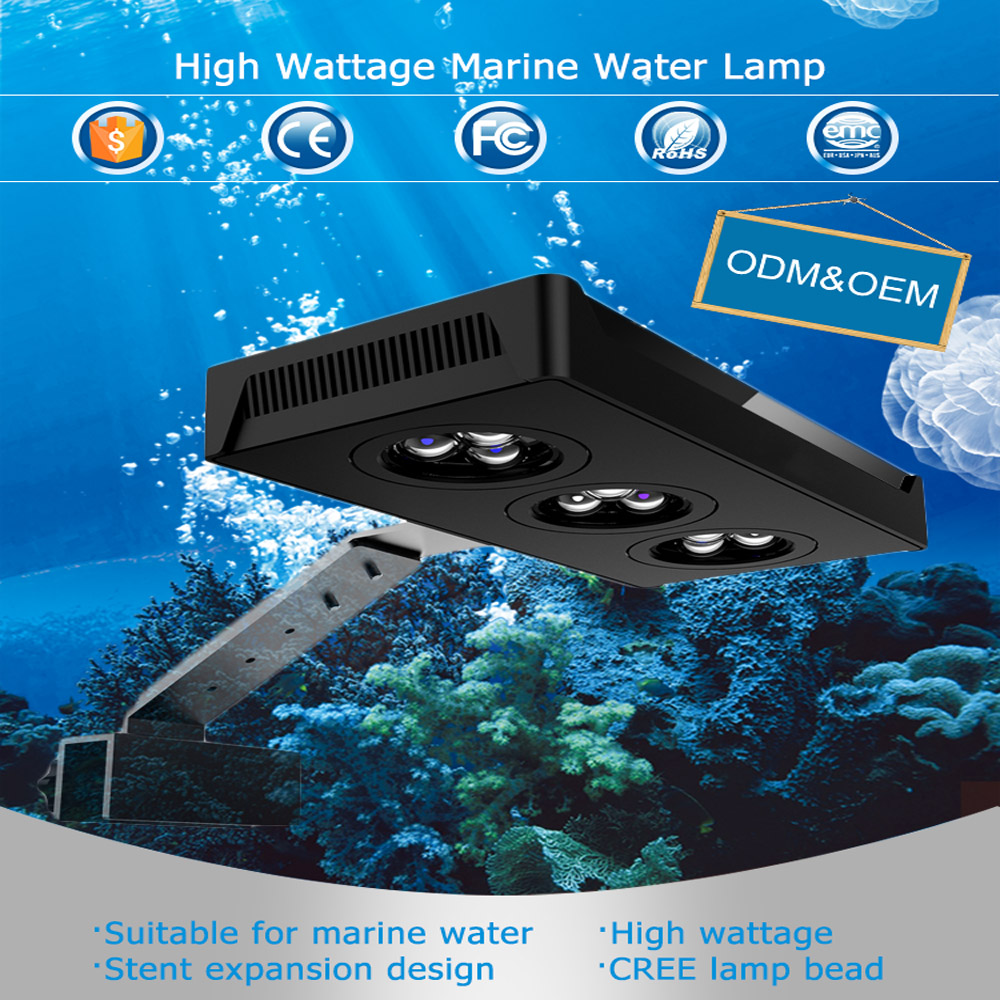 SPECTRA Aqua knight M029 Marin - Aqua Marine Tank reseña y precio