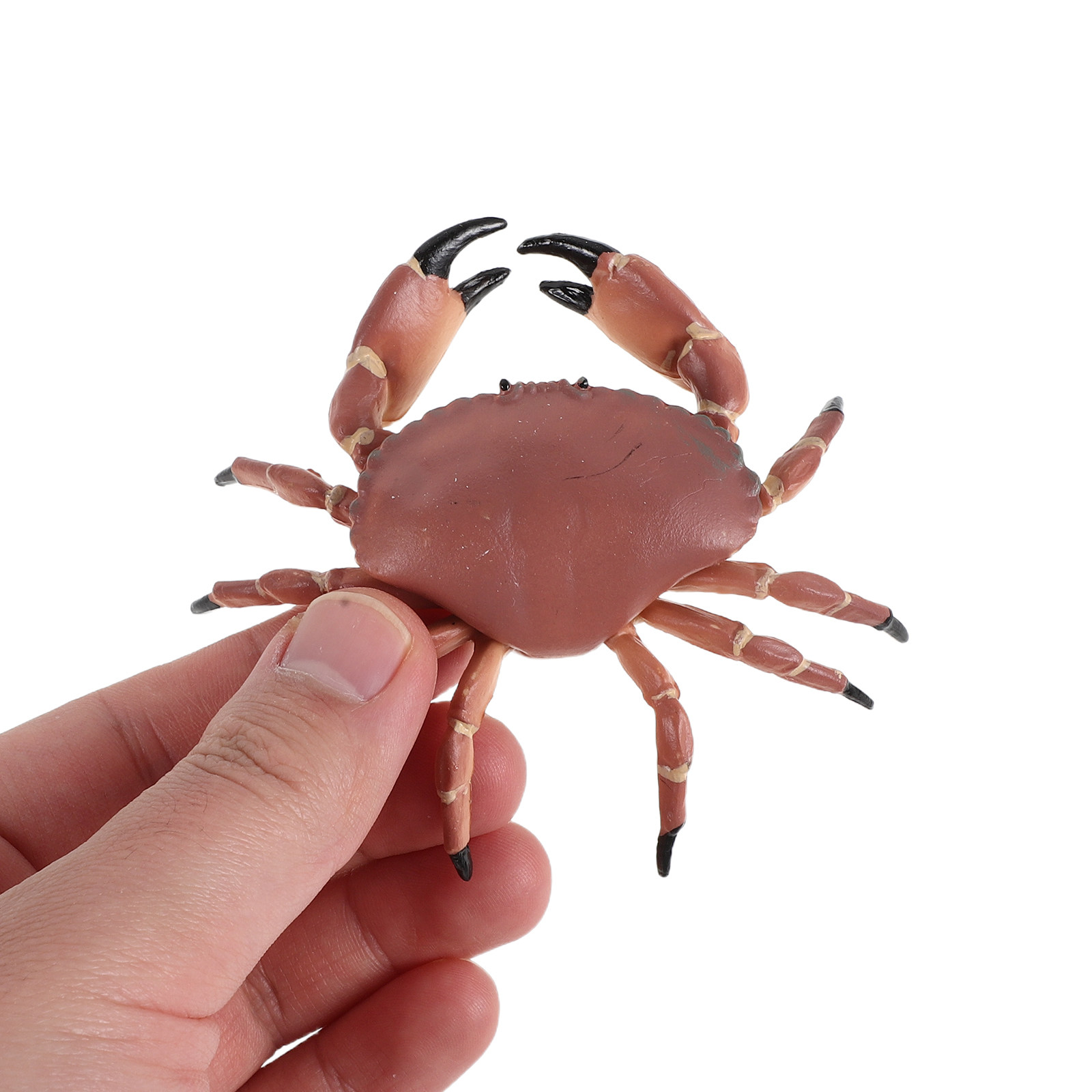 3Pcs Realistic Plastic Crab Fi - Marine Aquarium Home reseña y precio