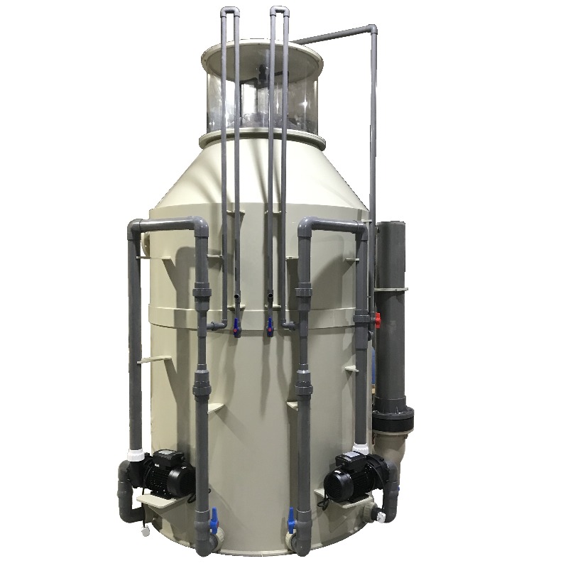 【Factory】Ocean Park Protein Sk - Aquarium Marine Park reseña y precio
