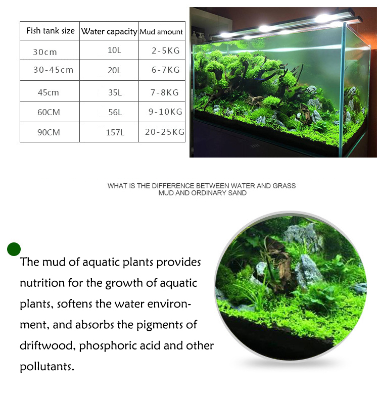 Aquarium Plant Seeds Soil Fish - Aquarium Marine Plants reseña y precio