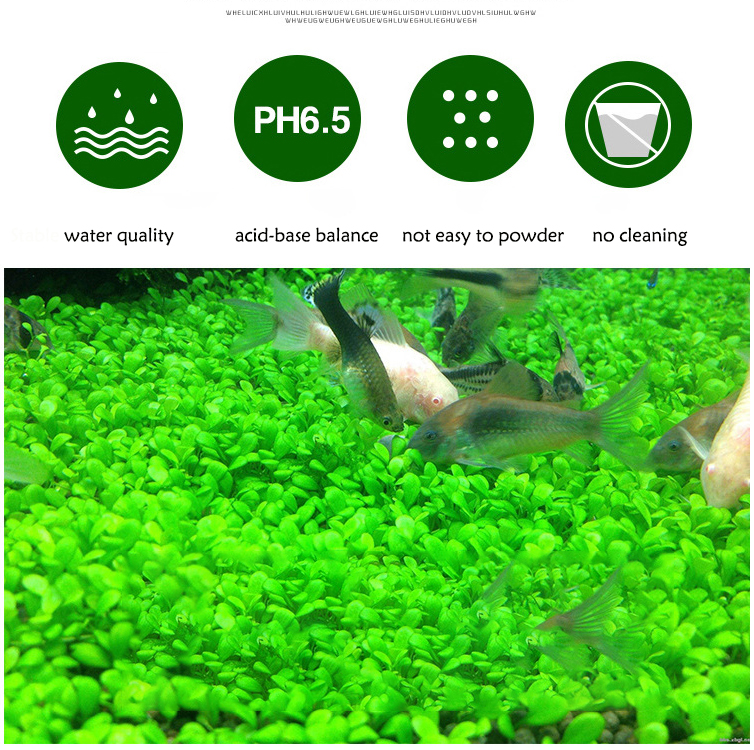 Aquarium Plant Seeds Soil Fish - Aquarium Marine Plants reseña y precio