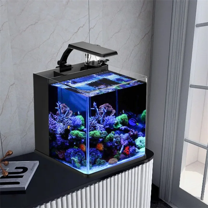 Hot sales Ultra Clear Glass Mi - Aquarium Marine Fish For Sale reseña y precio