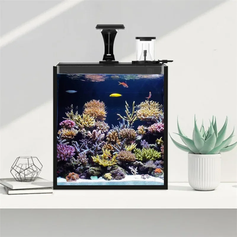 Hot sales Ultra Clear Glass Mi - Aquarium Marine Fish For Sale reseña y precio