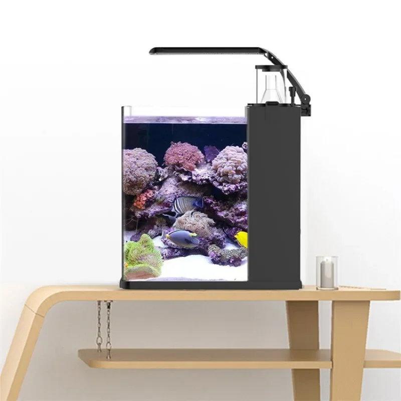 Hot sales Ultra Clear Glass Mi - Aquarium Marine Fish For Sale reseña y precio