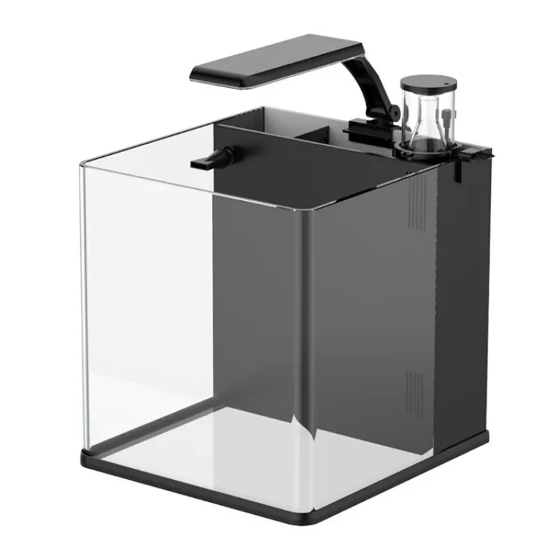 Hot sales Ultra Clear Glass Mi - Aquarium Marine Fish For Sale reseña y precio