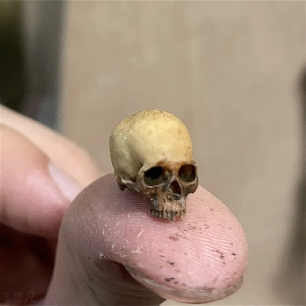 Mini Skull High Quality Miniat - Aquarium Marine Plants reseña y precio
