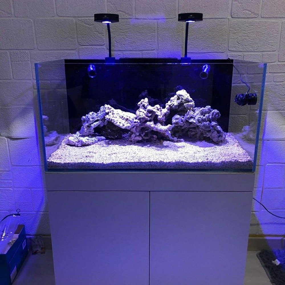 Spectra Aqua Knight V2 36W Ful - Aqua Marine Tank reseña y precio