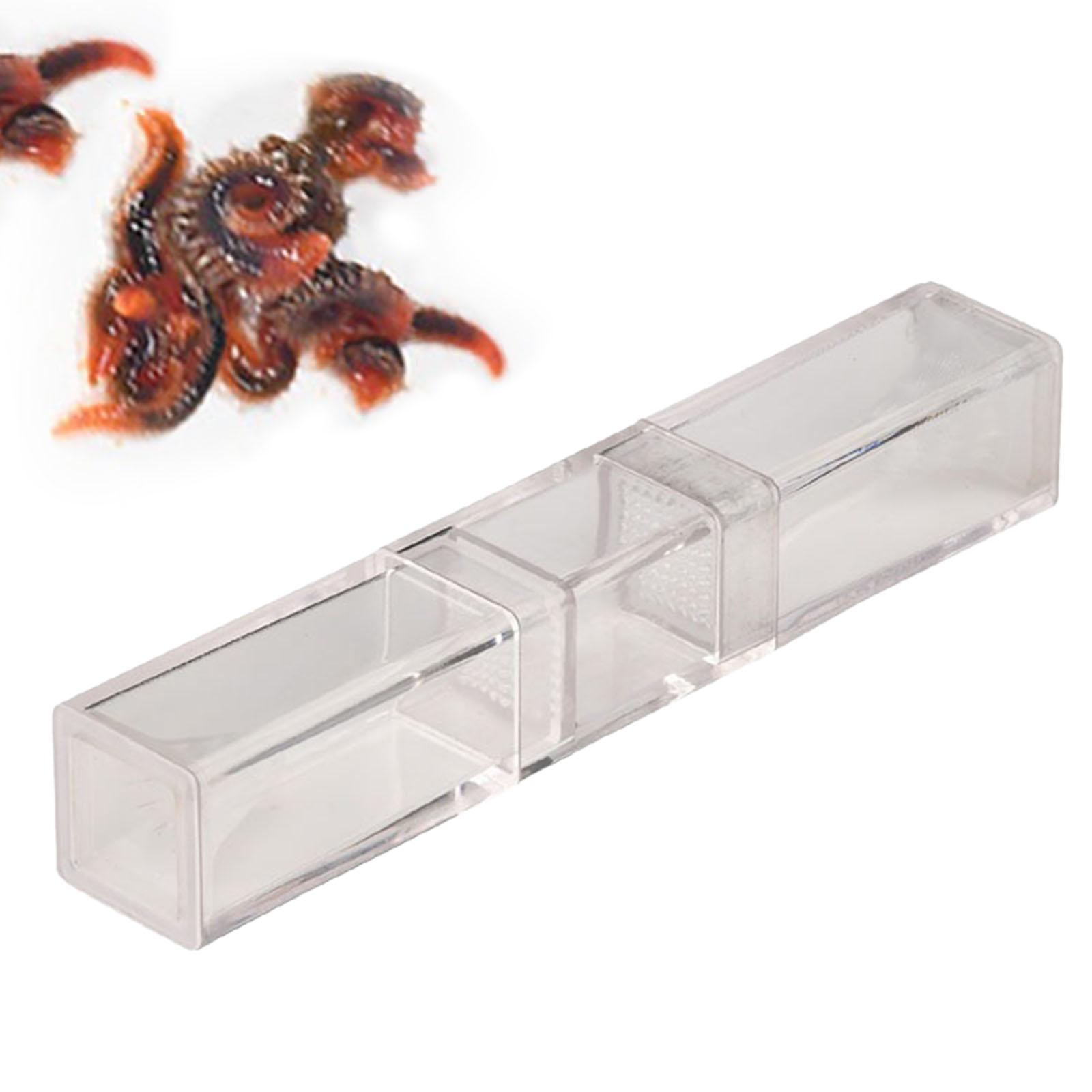 Aquarium Planaria Catcher for  - Marine Aquarium Worms reseña y precio