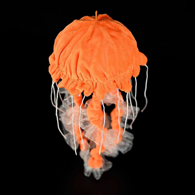 Jellyfish Pacific Sea Nettle O - Aquarium Marine Park reseña y precio